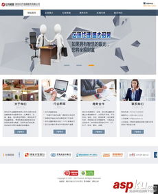 構(gòu)建未來金融視野 簡(jiǎn)潔大氣金融信息服務(wù)公司網(wǎng)站源碼解析